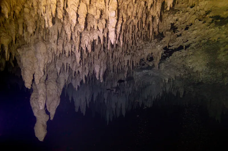 Stalactites in The Pit cenote