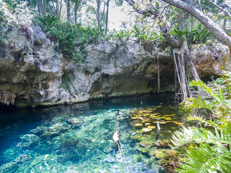 Gran Cenote near Tulum, with clear water and jungle